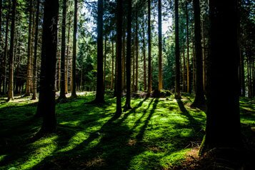 Les forets de l'Oise et le tourisme